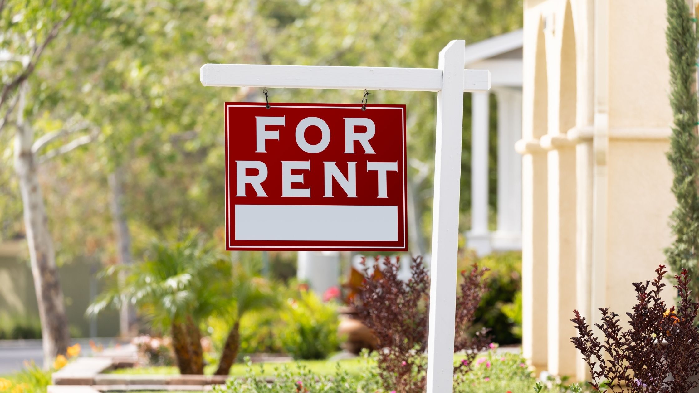 Renter's Insurance